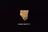 陶缽藏品圖，第1張